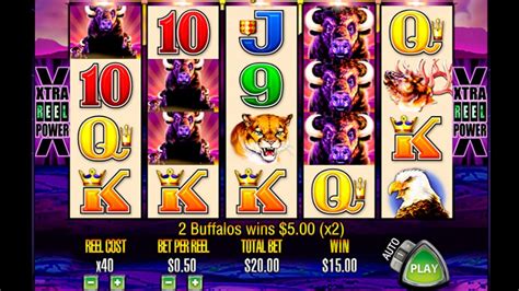 buffalo slot game rules